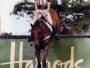 HILL TOP EQUESTRIAN Tamara Weal BHS II listing image