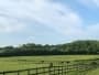 Harmsworth Stud listing image
