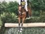 Alec Miles Equestrian listing image